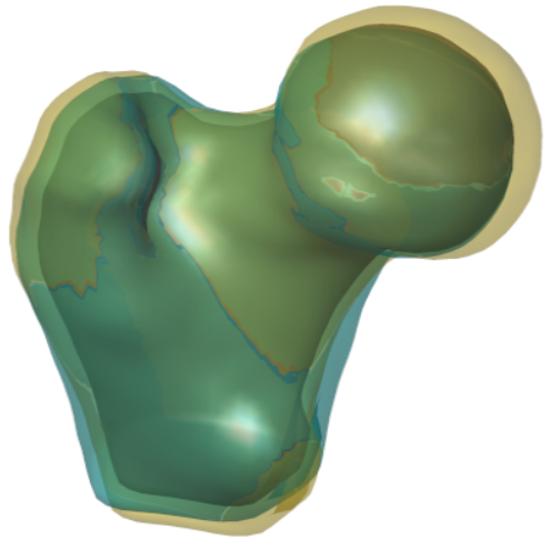 fmurpmorph